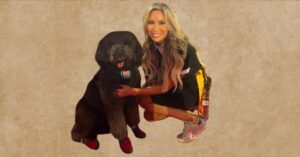 Jenn Pellegrino Wikipedia